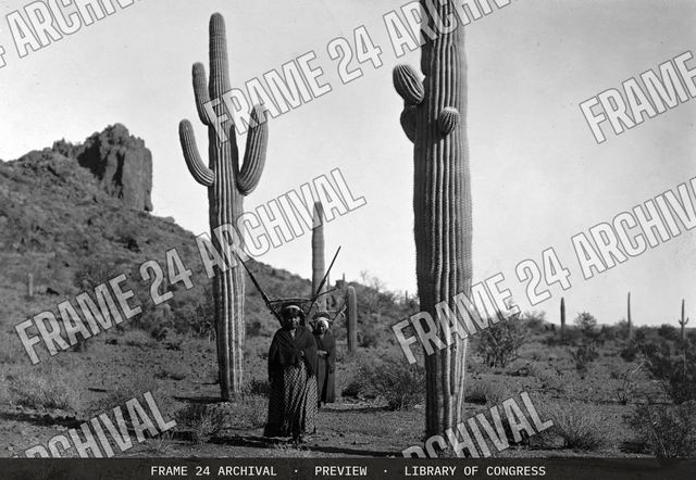 Hasen harvest (A), vintage black and white photograph
