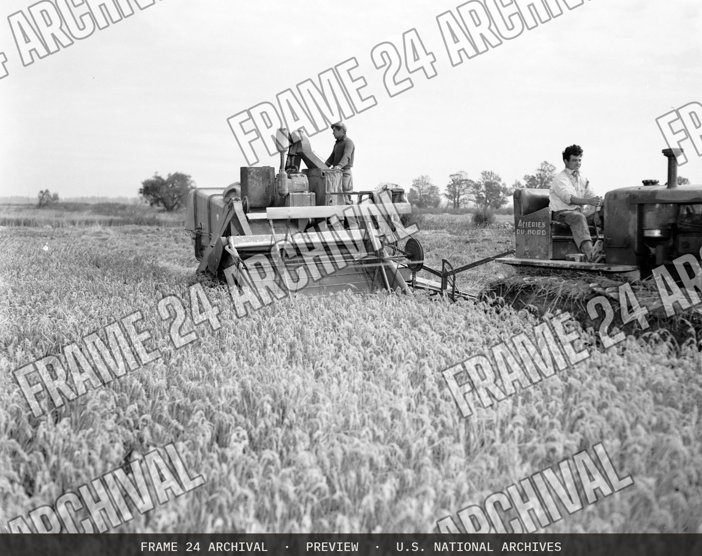 Technical Assistance - Agriculture: Rice Harvest, restored vintage black and white photograph